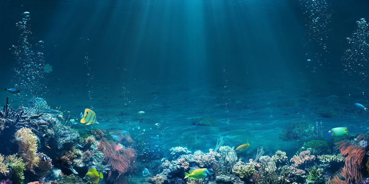 Removing carbon out of the ocean to combat climate change - Fight Climate  Change